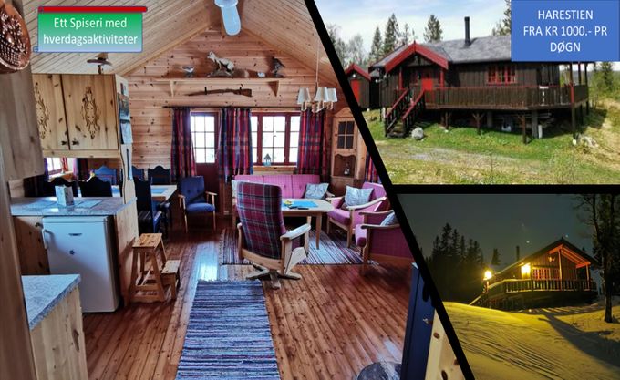 Fritidssaktivitet nr 2
Overnatting til 8 personer i ei koselig villmarkshytte.
Adm.kost kr 100
Harrys Spiseri har avtale med utleier og husvert og tilbyr overnatting både over kort og lang periode. 
Adm kostand kr 100.- pr bestilling