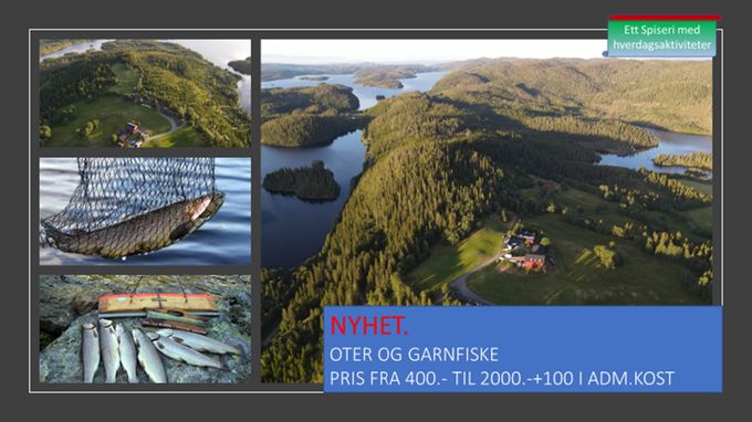 Fritidsaktivitet nr 1. 
Oter og garnfiske. Utleie av robåt. Med eller uten fiskeguide.
Adm.kost kr 100

